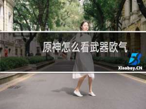 原神怎么看武器欧气