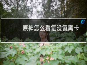 原神怎么看氪没氪黑卡