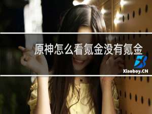 原神怎么看氪金没有氪金