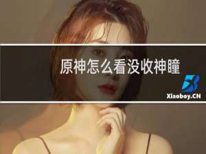 原神怎么看没收神瞳
