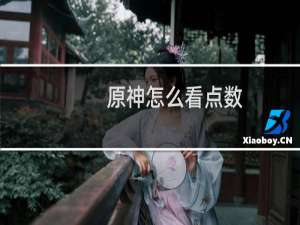 原神怎么看点数