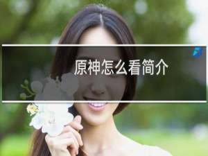 原神怎么看简介