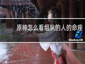 原神怎么看组队的人的命座