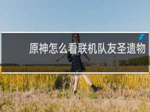 原神怎么看联机队友圣遗物
