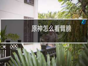 原神怎么看臂膀