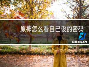 原神怎么看自己设的密码