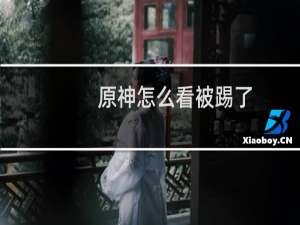 原神怎么看被踢了