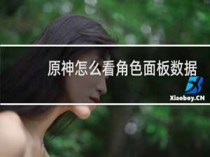 原神怎么看角色面板数据