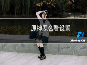 原神怎么看设置