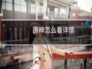 原神怎么看详情