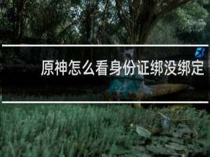 原神怎么看身份证绑没绑定