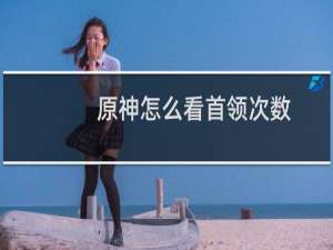 原神怎么看首领次数