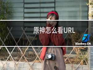 原神怎么看URL