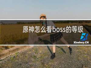 原神怎么看boss的等级