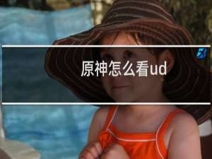原神怎么看ud