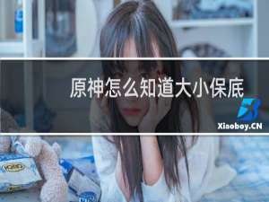 原神怎么知道大小保底