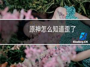 原神怎么知道歪了