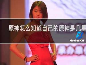 原神怎么知道自己的原神是几星的