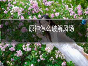 原神怎么破解风场