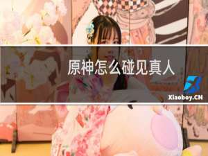 原神怎么碰见真人