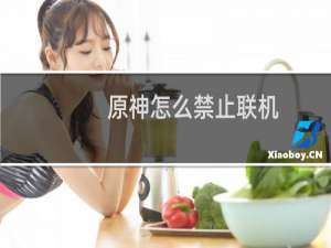 原神怎么禁止联机