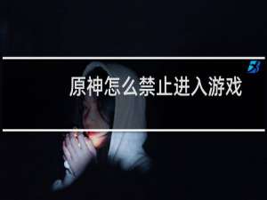 原神怎么禁止进入游戏