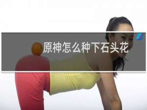 原神怎么种下石头花