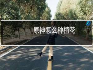 原神怎么种植花