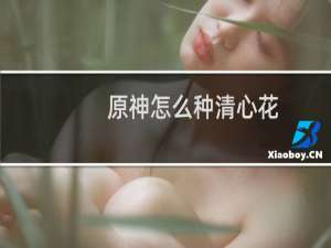 原神怎么种清心花