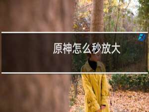 原神怎么秒放大