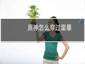原神怎么穿过雷暴