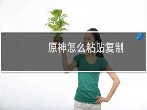 原神怎么粘贴复制