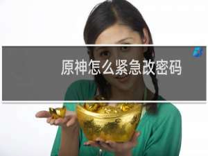 原神怎么紧急改密码