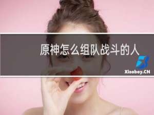 原神怎么组队战斗的人