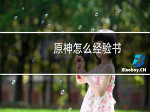 原神怎么经验书