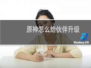 原神怎么给伙伴升级