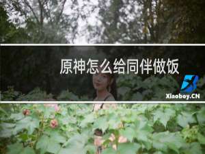 原神怎么给同伴做饭