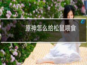 原神怎么给松鼠喂食