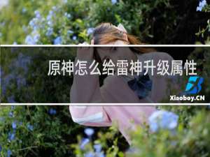 原神怎么给雷神升级属性