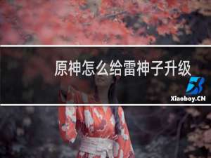 原神怎么给雷神子升级