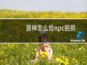 原神怎么给npc拍照