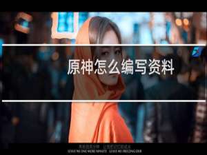 原神怎么编写资料