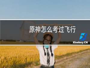 原神怎么考过飞行