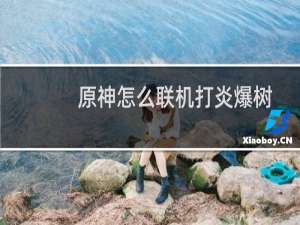 原神怎么联机打炎爆树