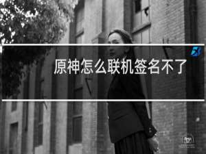 原神怎么联机签名不了
