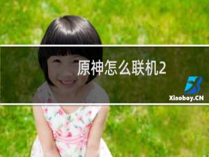 原神怎么联机2.7