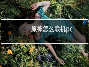 原神怎么联机pc