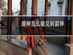 原神怎么能见到雷神