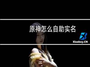 原神怎么自助实名