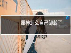 原神怎么自己卸载了